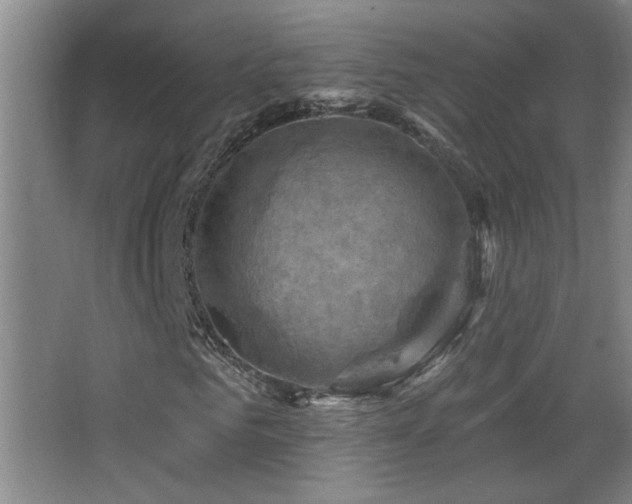 X0000068740961200604281135