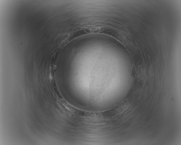 X0000068740962200604281135