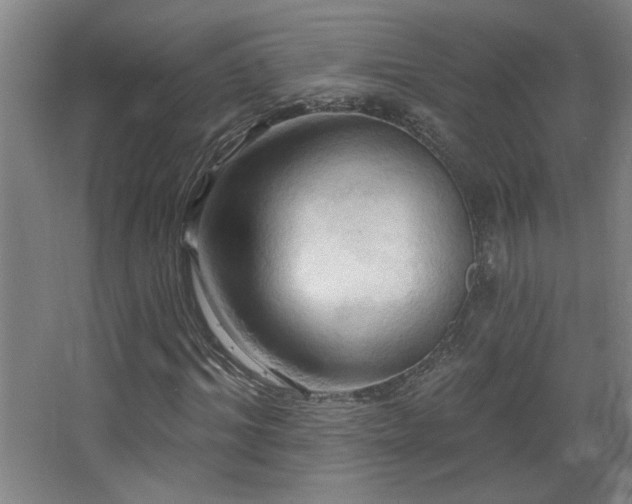 X0000068740964200604281135