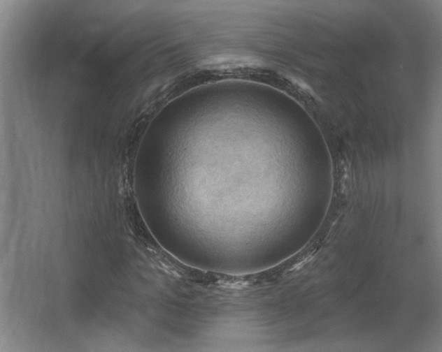 X0000068740965200604281135