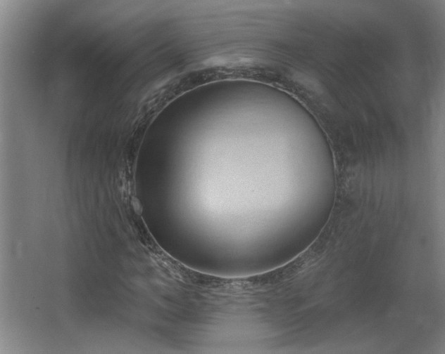 X0000068740966200604281135