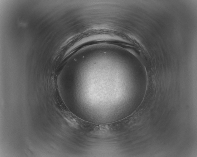 X0000068740968200604281135