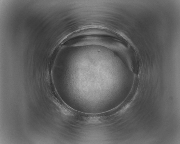 X0000068740969200604281135