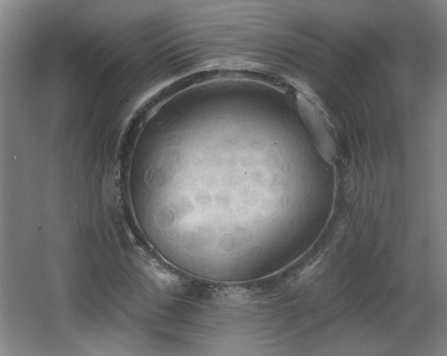 X0000068740971200604281135