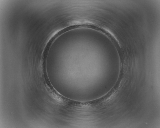 X0000068740975200604281135