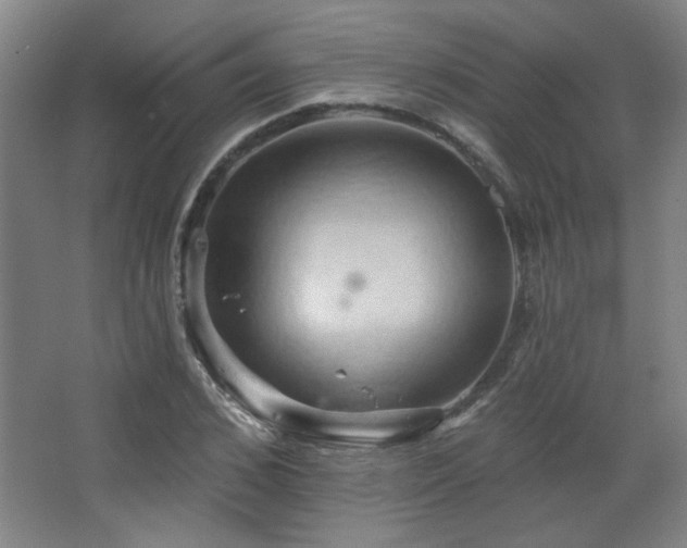 X0000068740976200604281135