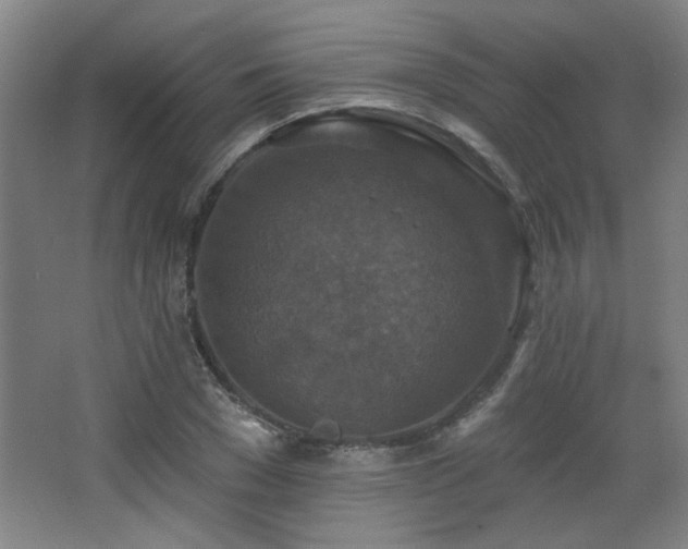 X0000068740977200604281135