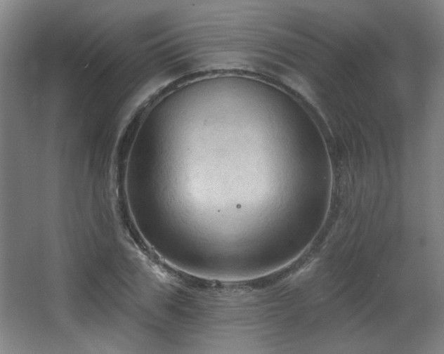 X0000068740979200604281135