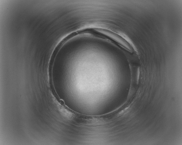 X0000068740980200604281135