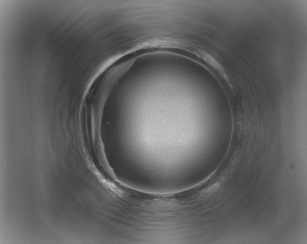 X0000068740981200604281135