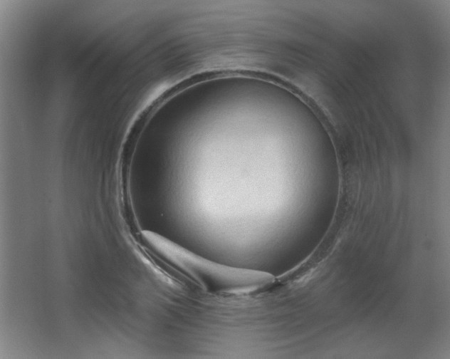 X0000068740982200604281135