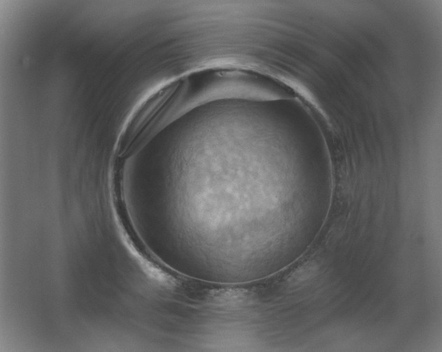 X0000068740991200604281135