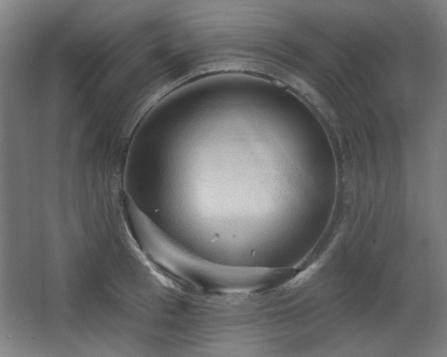 X0000068740993200604281135