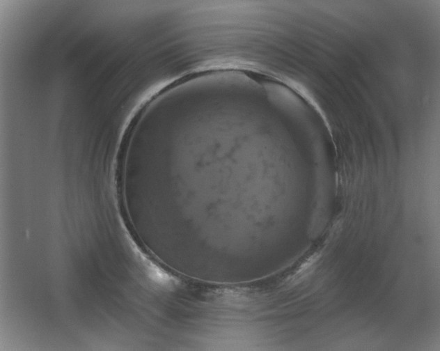 X0000068740995200604281135