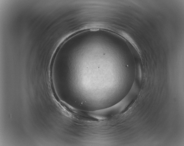 X0000068740996200604281135