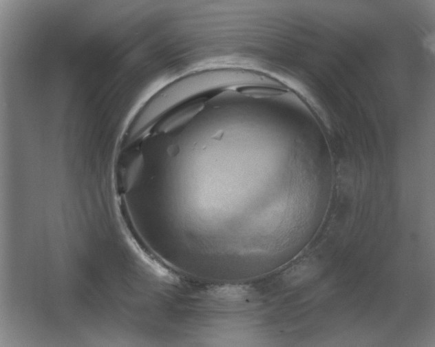 X0000068740998200604281135