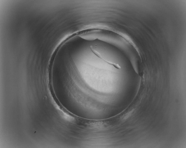 X0000068740999200604281135