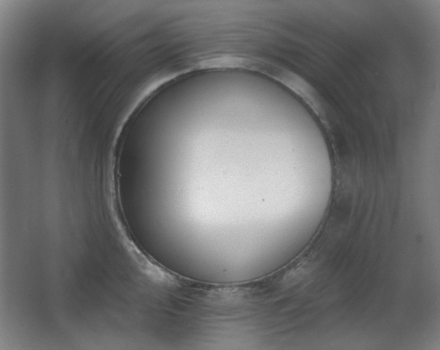 X0000068741000200604281135