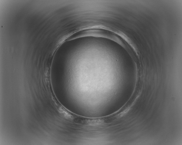 X0000068741001200604281135