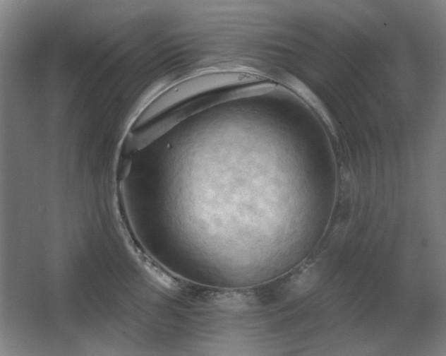 X0000068741002200604281135