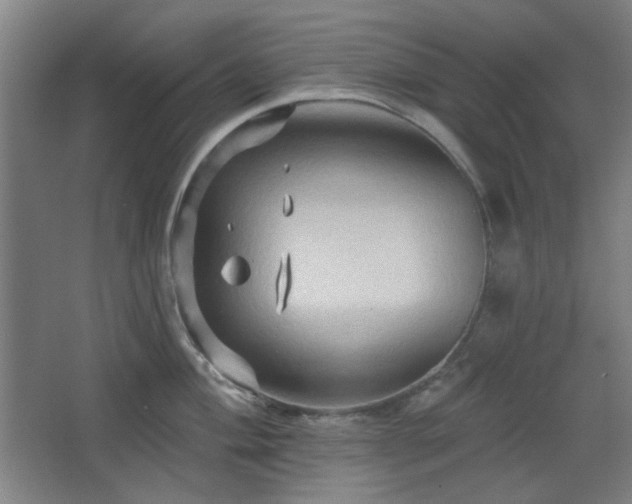 X0000068741004200604281135