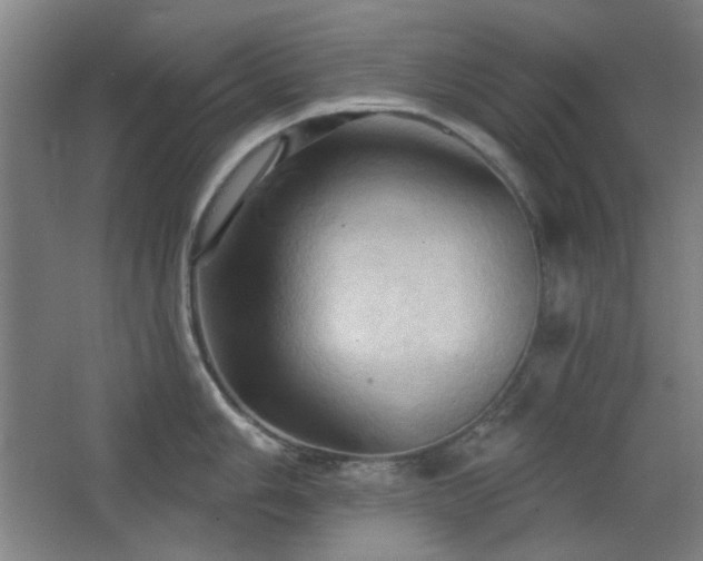 X0000068741006200604281135