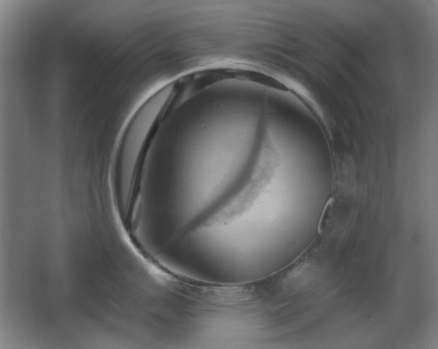 X0000068741007200604281135