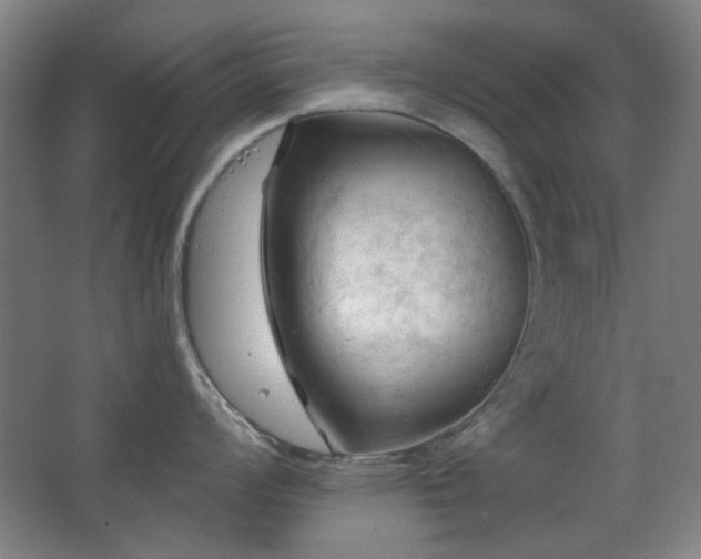 X0000068741008200604281134