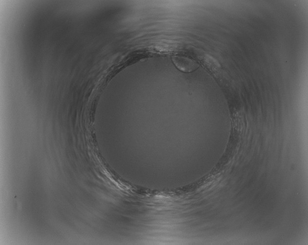 X0000068741009200604281134