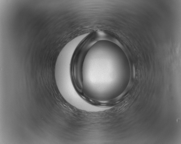 X0000068741010200604281134