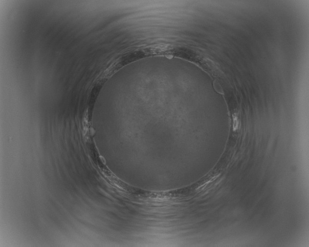 X0000068741011200604281134