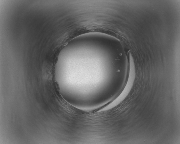 X0000068741012200604281134