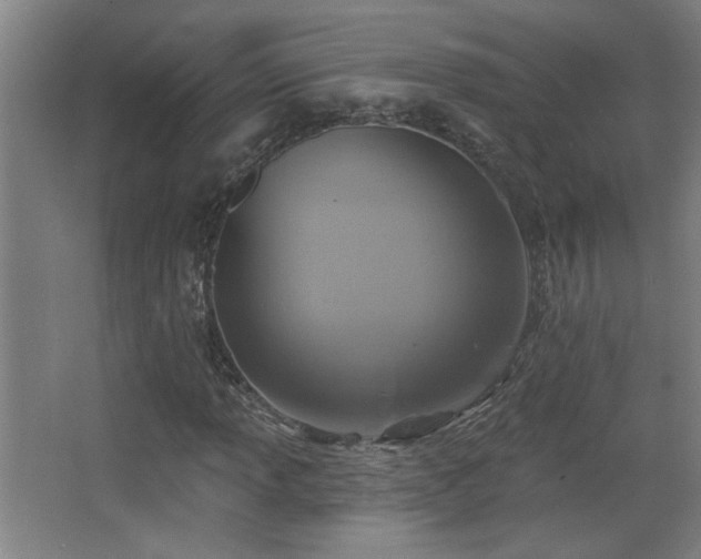 X0000068741013200604281134