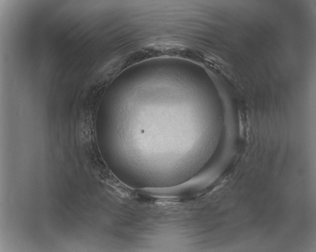 X0000068741014200604281134