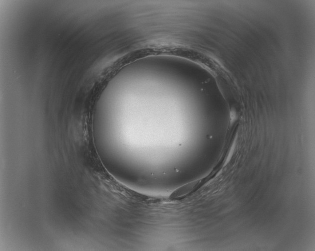 X0000068741016200604281134