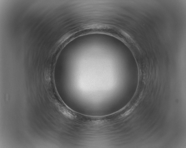 X0000068741017200604281134