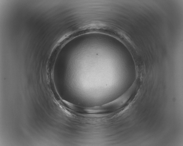 X0000068741018200604281134