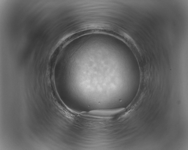 X0000068741019200604281134