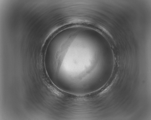 X0000068741021200604281134