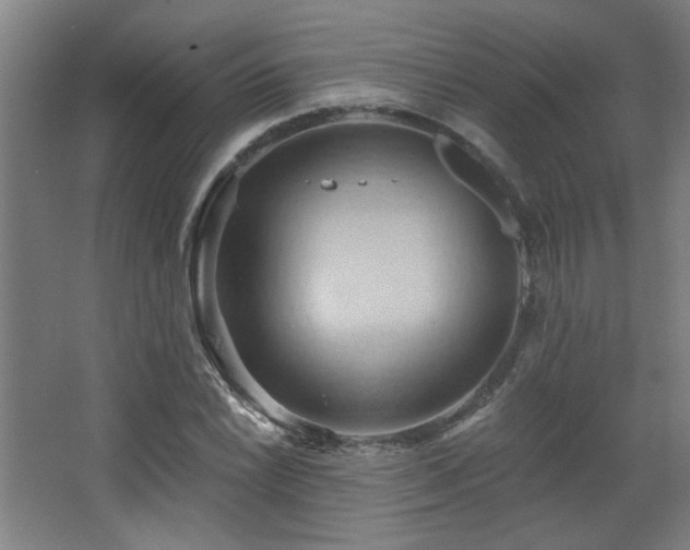 X0000068741022200604281134