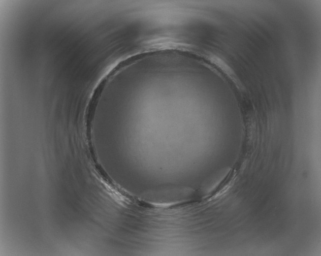 X0000068741023200604281134