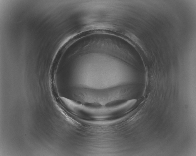 X0000068741024200604281134