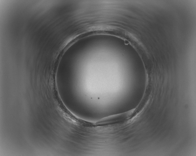 X0000068741025200604281134