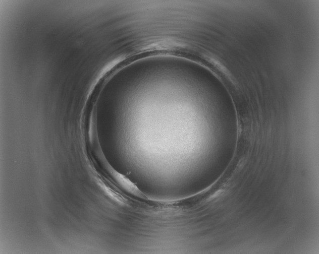 X0000068741026200604281134