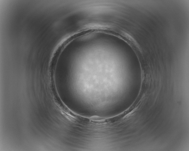 X0000068741027200604281134