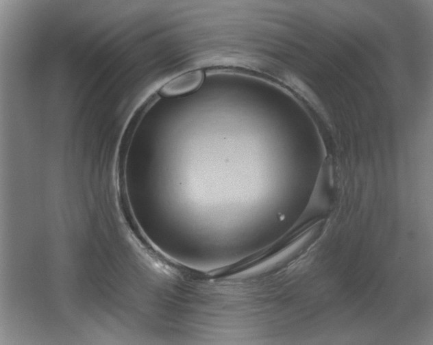 X0000068741028200604281134