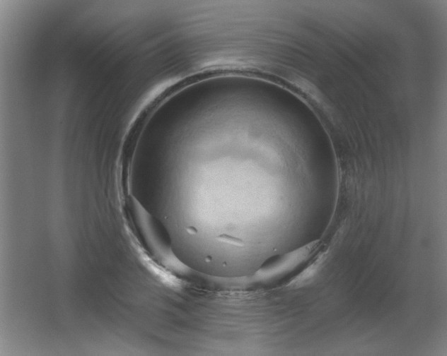 X0000068741030200604281134