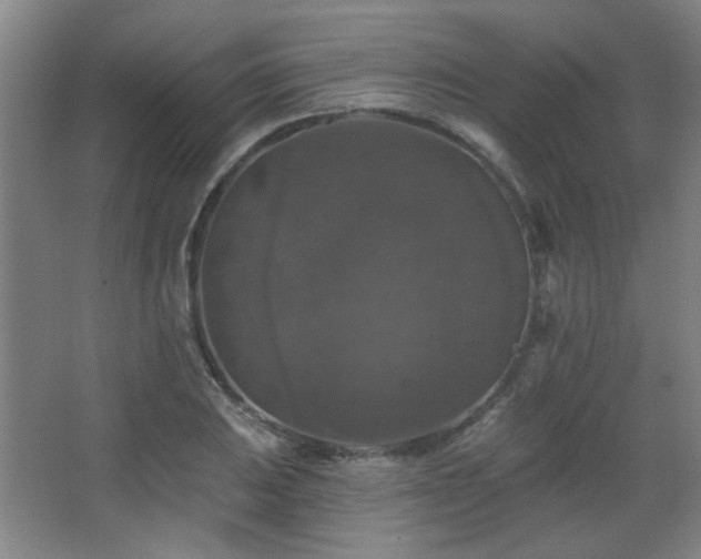 X0000068741031200604281134