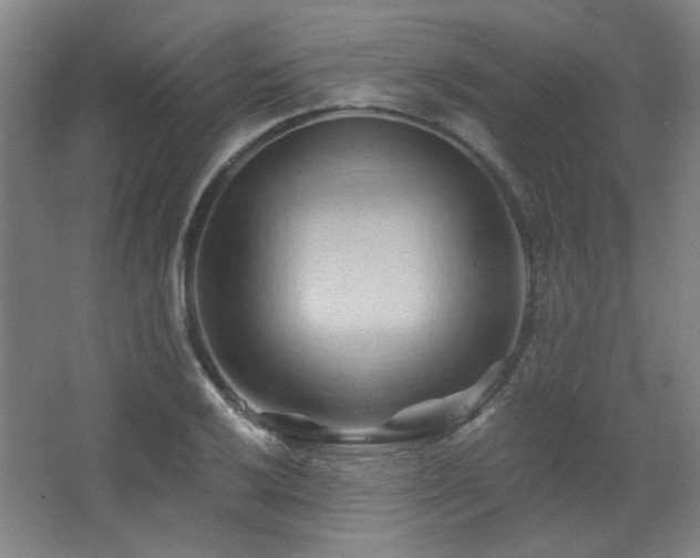 X0000068741032200604281134