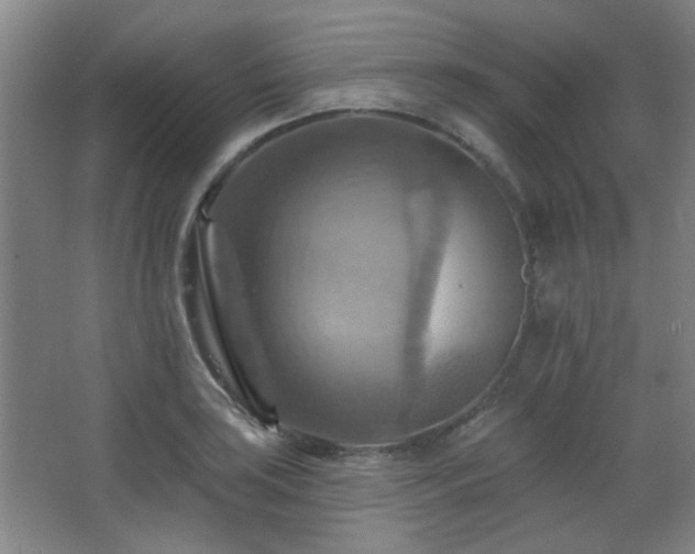 X0000068741035200604281134